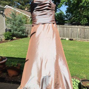 Ice Blue Gown with French Bussle